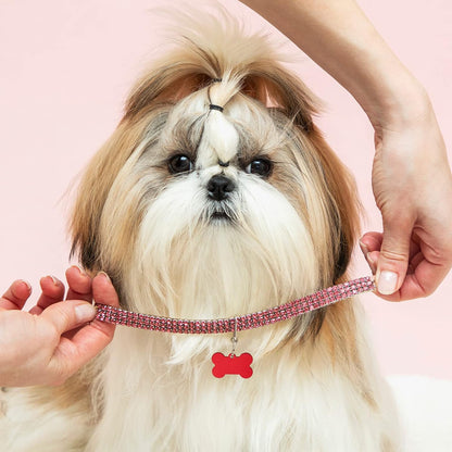 Frienda Peças De Etiqueta De Identificação Para Animais De Estimação