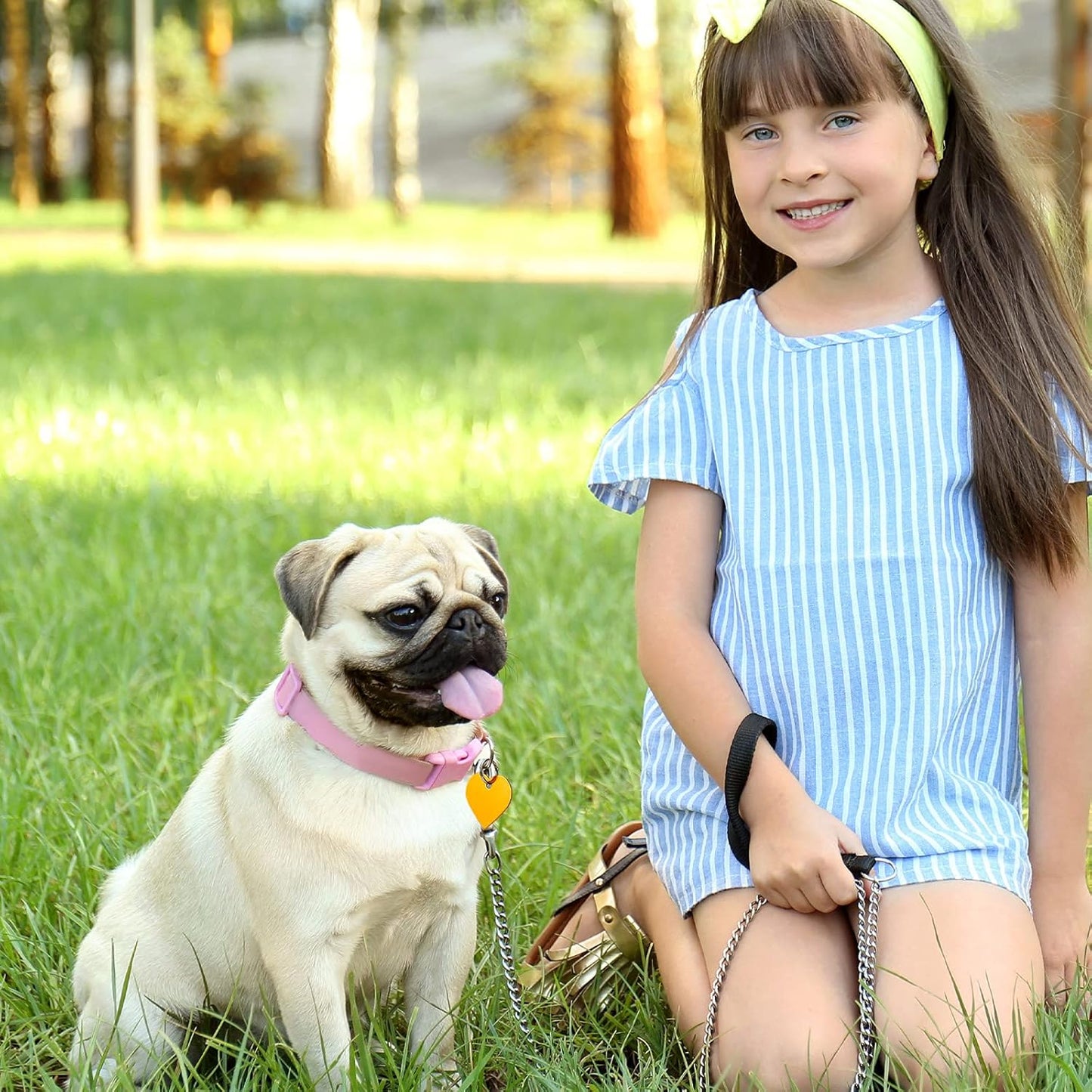 Frienda Peças De Etiqueta De Identificação Para Animais De Estimação