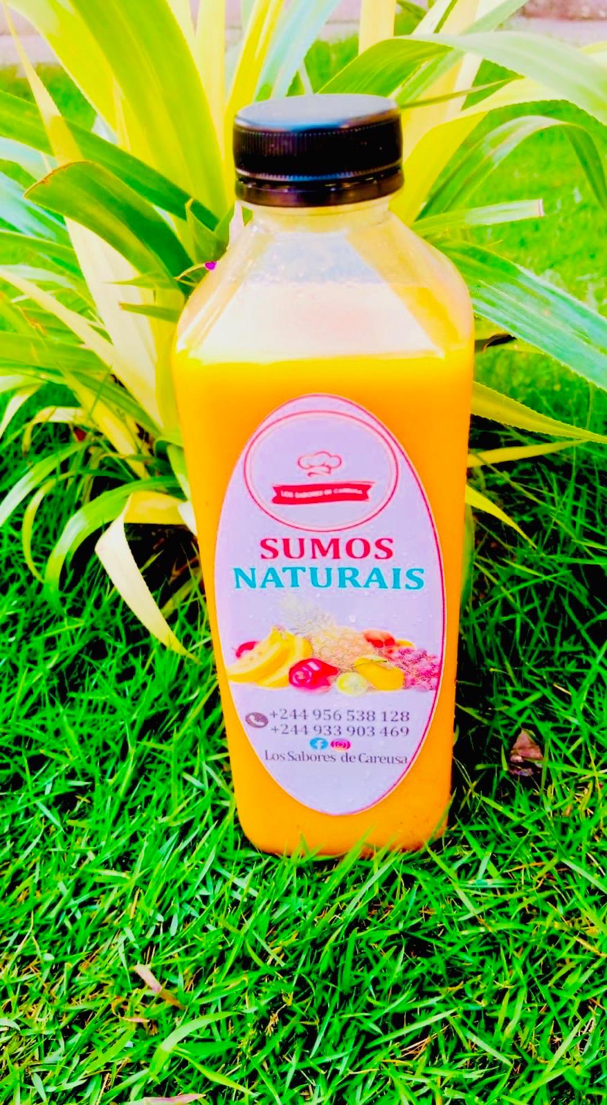 Sumo Natural 1L Um Sabor
