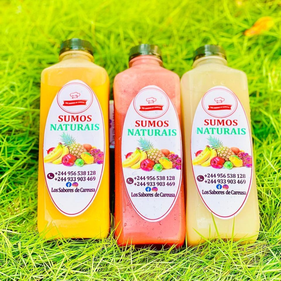 Sumo Natural 1L Três Sabores