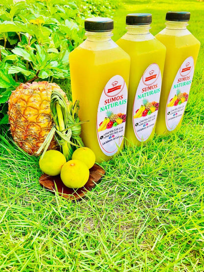 Sumo Natural 1L Três Sabores